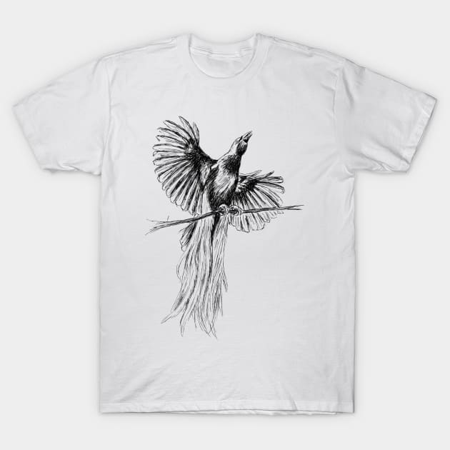 Bird Of Paradise Print T-Shirt by rachelsfinelines